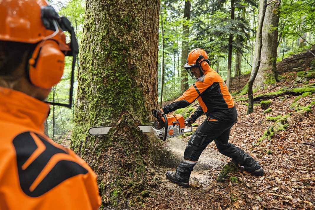 STIHL MS 881 Benzin-Motorsäge | .404″ RS Schneidgarnitur 63 cm – Produktansicht 3
