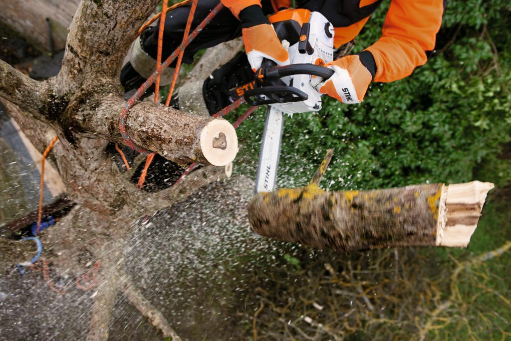 STIHL MS 201 TC-M Benzin-Motorsäge | 3/8″ PS3 Pro Schneidgarnitur 30 cm – Produktansicht 3