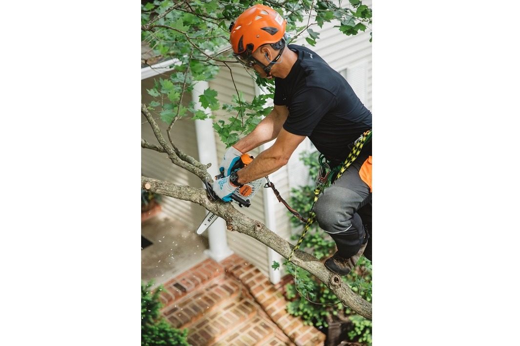 STIHL MS 151 TC-E Benzin-Motorsäge | 1/4″ PM3 Schneidgarnitur 30 cm – Produktansicht 4