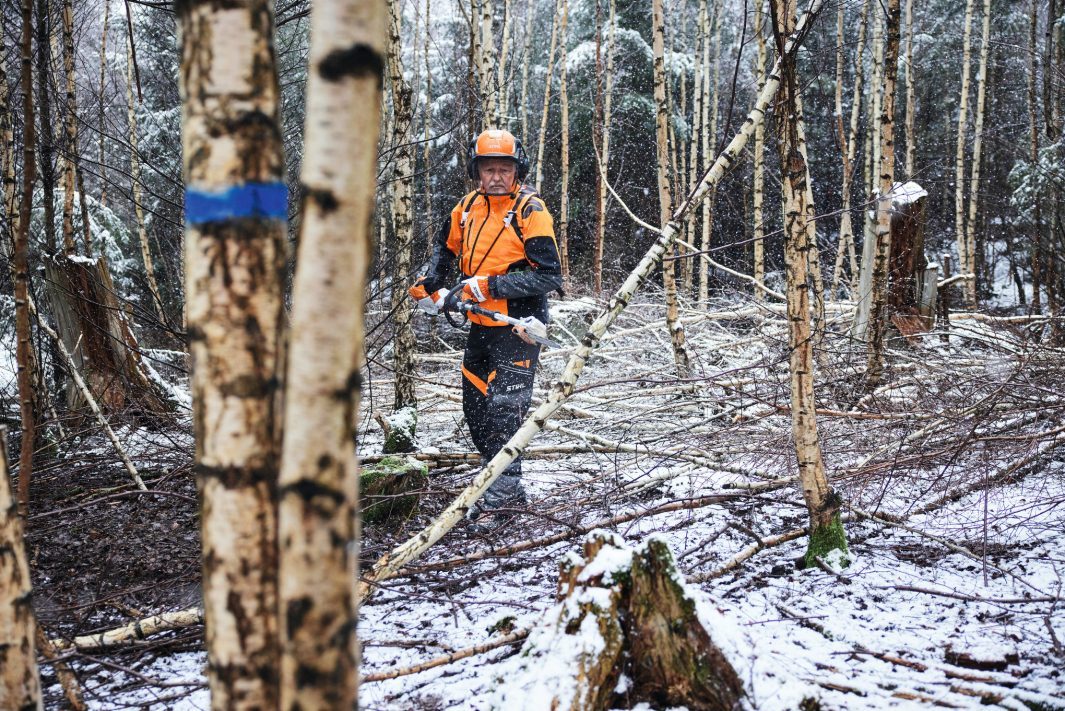 STIHL HTA 150 Akku-Hochentaster | Forstausführung | 3/8″ PM3 Schneidgarnitur 30 cm – Produktansicht 4